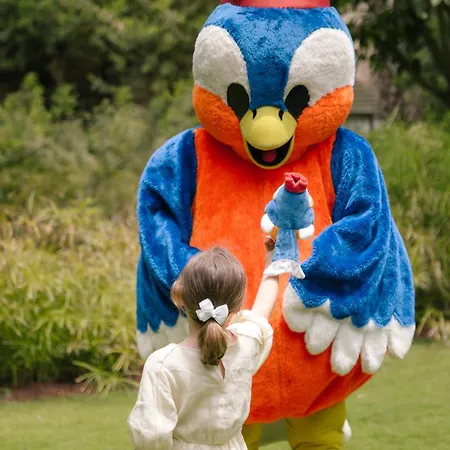 バイア デル ドゥケ ホテル アデヘ